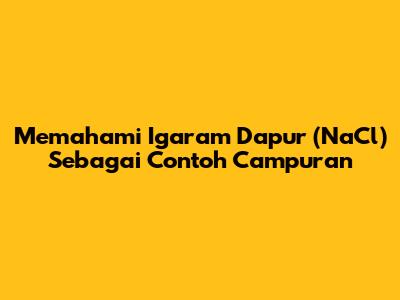 Memahami Igaram Dapur (NaCl) Sebagai Contoh Campuran
