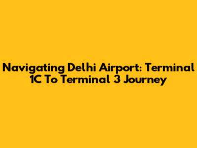 Navigating Delhi Airport: Terminal 1C To Terminal 3 Journey