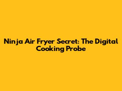 Ninja Air Fryer Secret: The Digital Cooking Probe