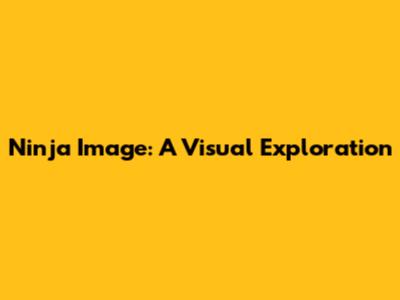Ninja Image: A Visual Exploration