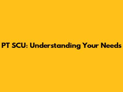 PT SCU: Understanding Your Needs