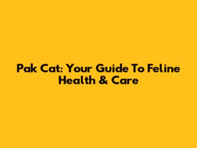 Pak Cat: Your Guide To Feline Health & Care