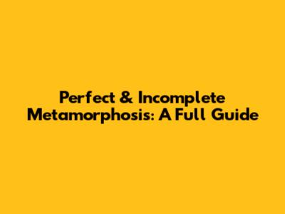 Perfect & Incomplete Metamorphosis: A Full Guide