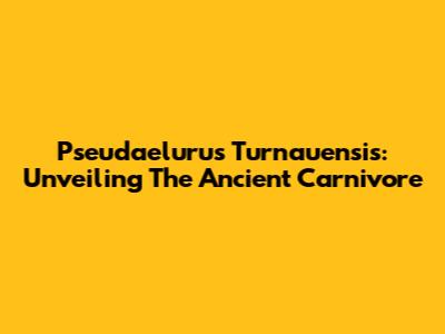 Pseudaelurus Turnauensis: Unveiling The Ancient Carnivore