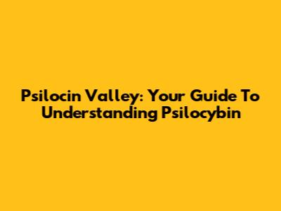 Psilocin Valley: Your Guide To Understanding Psilocybin