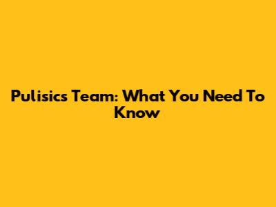 Pulisic's Team: What You Need To Know