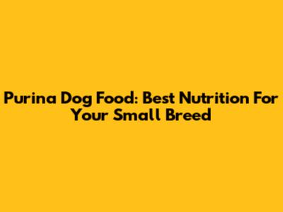 Purina Dog Food: Best Nutrition For Your Small Breed