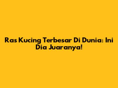 Ras Kucing Terbesar Di Dunia: Ini Dia Juaranya!