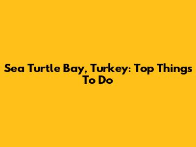 Sea Turtle Bay, Turkey: Top Things To Do