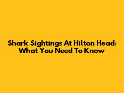 Shark Sightings At Hilton Head: What You Need To Know