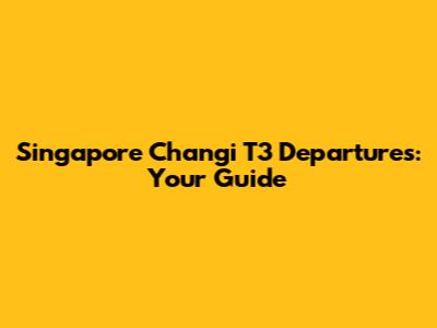 Singapore Changi T3 Departures: Your Guide
