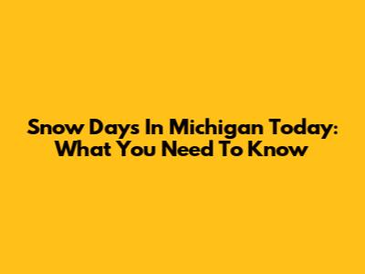 Snow Days In Michigan Today: What You Need To Know