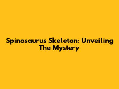 Spinosaurus Skeleton: Unveiling The Mystery