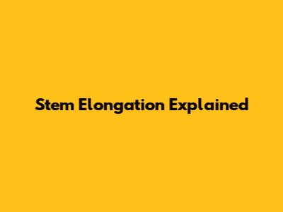 Stem Elongation Explained