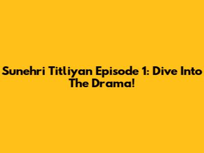 Sunehri Titliyan Episode 1: Dive Into The Drama!