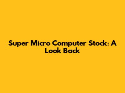 Super Micro Computer Stock: A Look Back
