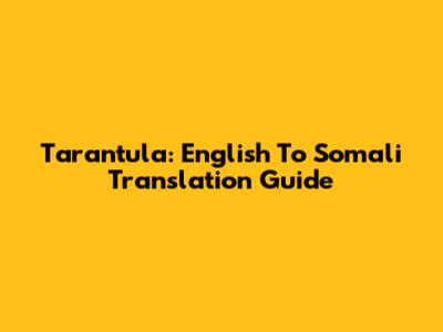 Tarantula: English To Somali Translation Guide