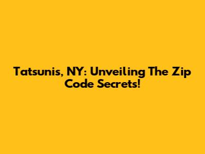 Tatsunis, NY: Unveiling The Zip Code Secrets!