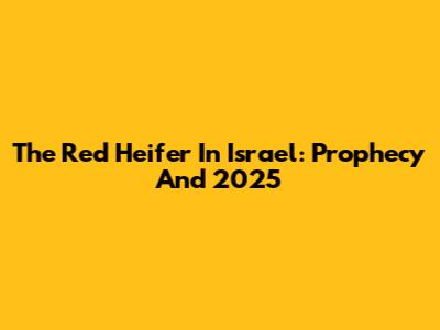The Red Heifer In Israel: Prophecy And 2025