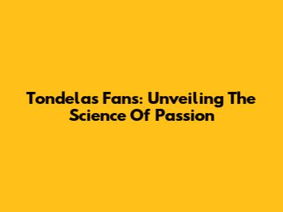 Tondela's Fans: Unveiling The Science Of Passion