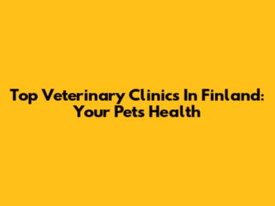Top Veterinary Clinics In Finland: Your Pet's Health