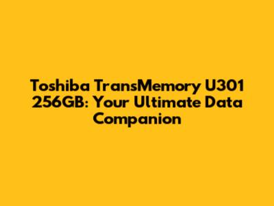 Toshiba TransMemory U301 256GB: Your Ultimate Data Companion