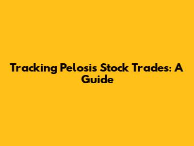 Tracking Pelosi's Stock Trades: A Guide
