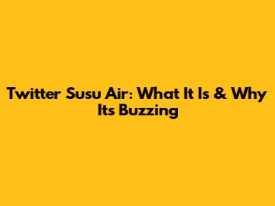 Twitter Susu Air: What It Is & Why It's Buzzing