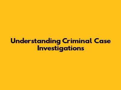 Understanding Criminal Case Investigations