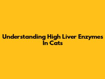 Understanding High Liver Enzymes In Cats