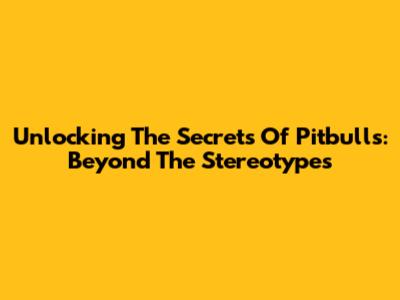 Unlocking The Secrets Of Pitbulls: Beyond The Stereotypes