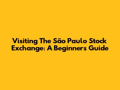 Visiting The São Paulo Stock Exchange: A Beginner's Guide