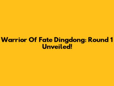 Warrior Of Fate Dingdong: Round 1 Unveiled!