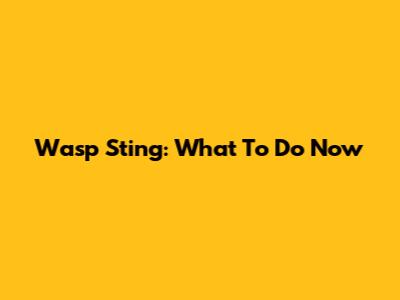 Wasp Sting: What To Do Now