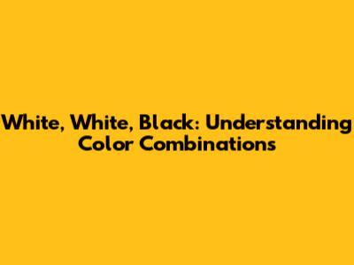 White, White, Black: Understanding Color Combinations