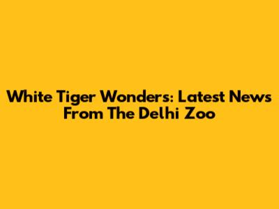 White Tiger Wonders: Latest News From The Delhi Zoo