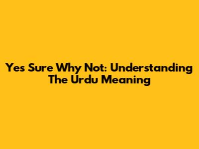 Yes Sure Why Not: Understanding The Urdu Meaning