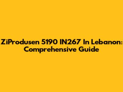 ZiProdusen 5190 IN267 In Lebanon: Comprehensive Guide